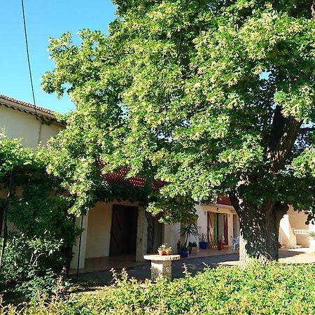 Les Prairies Mas Roux Guest House Raphèle Eksteriør bilde