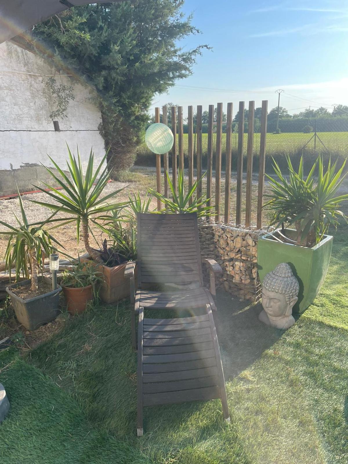 Les Prairies Mas Roux Guest House Raphèle Rom bilde