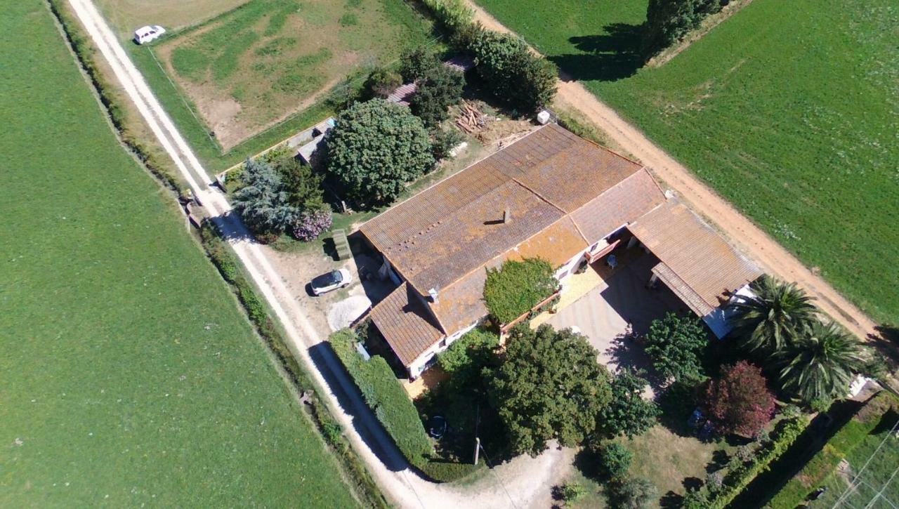 Les Prairies Mas Roux Guest House Raphèle Eksteriør bilde
